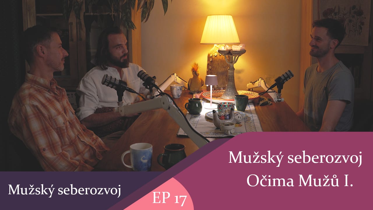 Mužský seberozvoj očima mužů I.