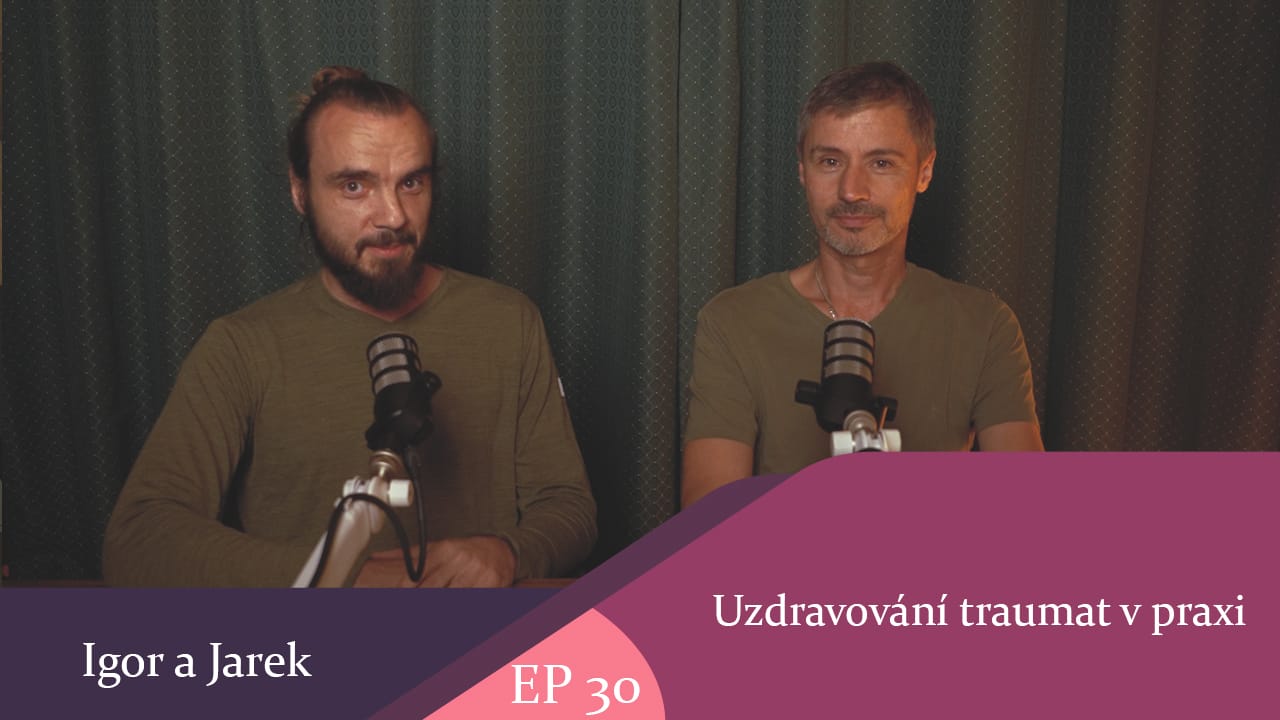 Uzdravování traumat v praxi