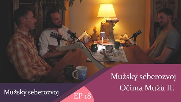 Mužský seberozvoj očima mužů II.