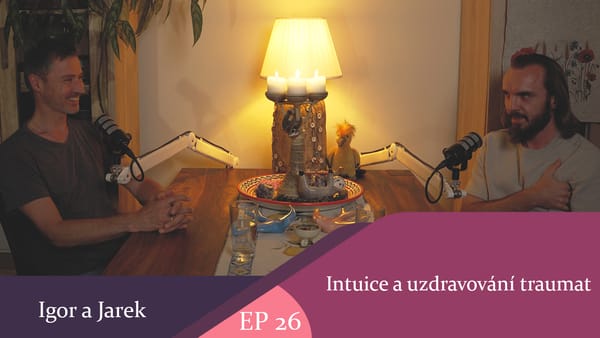 Intuice a uzdravování traumat část první