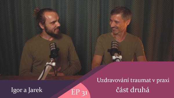 Uzdravování traumat v praxi díl druhý